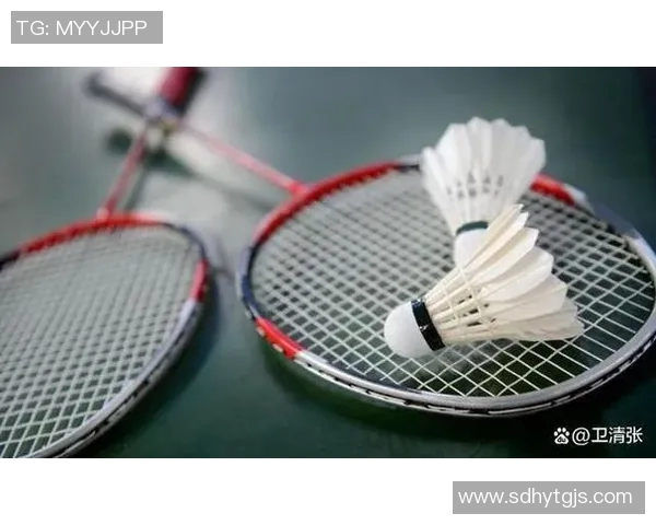 羽毛球裁判公正性探讨及赛事争议事件对比赛结果影响分析