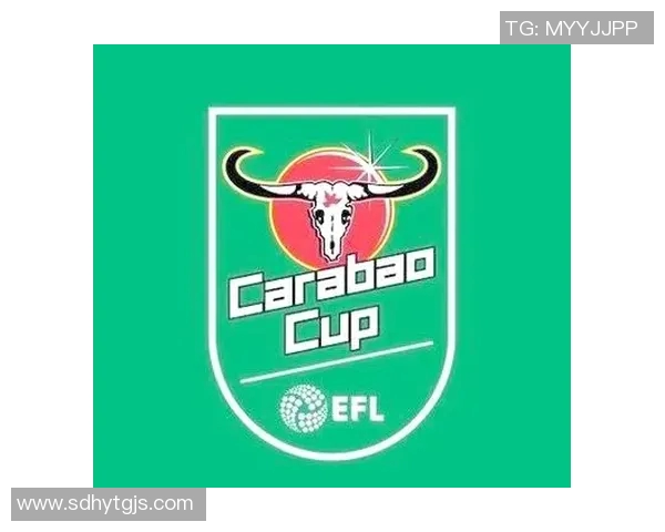 足球世界杯赛事中VAR技术应用实践与裁判判罚公平性研究